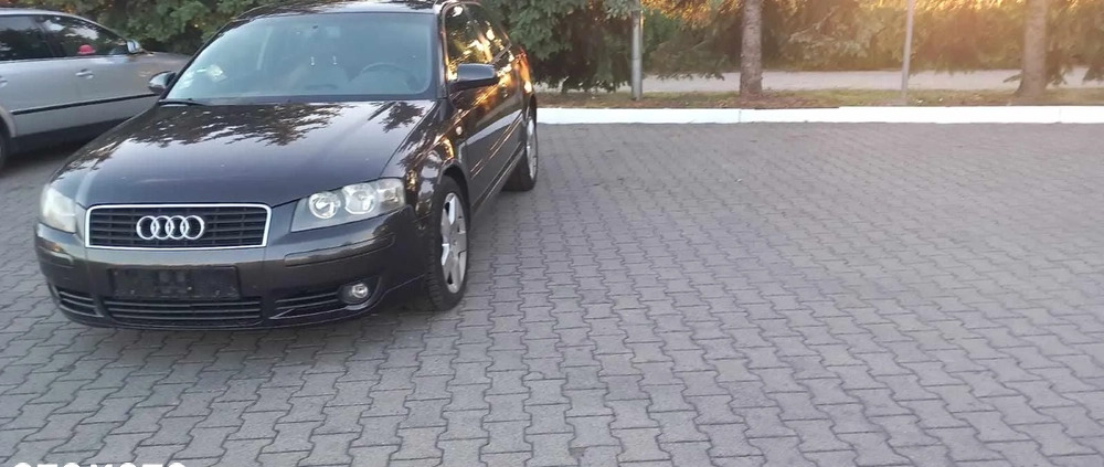 Audi A3 cena 9300 przebieg: 242000, rok produkcji 2003 z Bojanowo małe 379